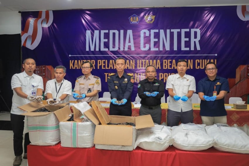 Bea Cukai Priok: Ekspor Ilegal 3 Ton Trenggiling Rp183 Miliar Akan Dikirim ke Kamboja
