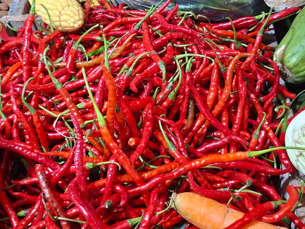 Harga Cabai Tembus Rp131.000 per Kg Sehari Jelang Lebaran 2026
