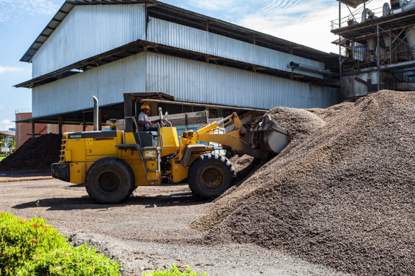 IPB Dorong Pemanfaatan Limbah Kelapa Sawit